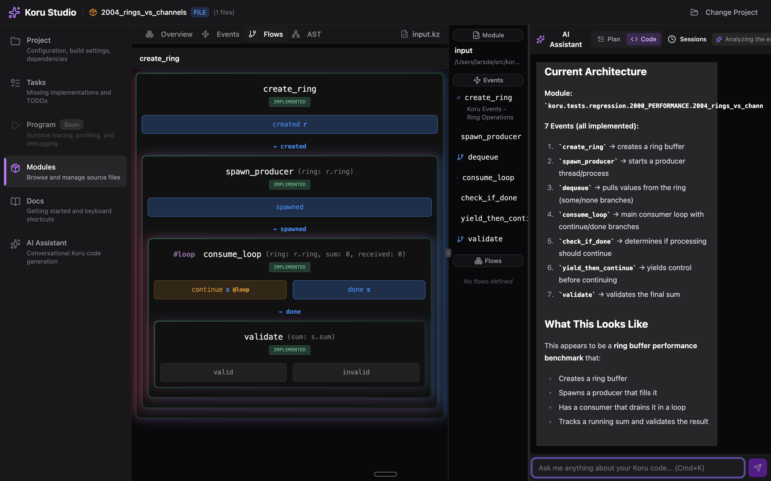 Koru Studio Screenshot